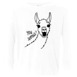 Toddler Long Sleeve Fine Jersey Tee Thumbnail