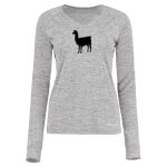 Women's Electrify CoolCore® Long Sleeve V-Neck T-Shirt Thumbnail